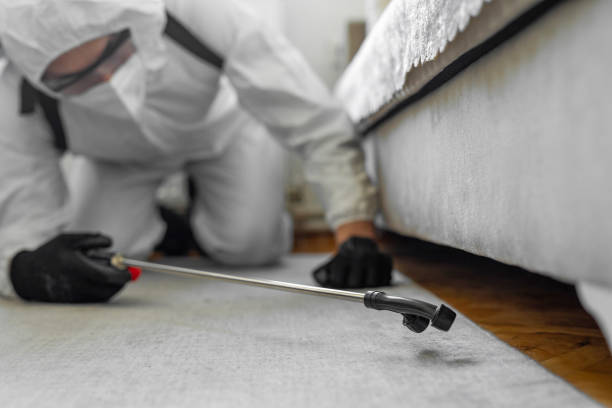 Professional Ant Control technician working in Vienna Bend, LA